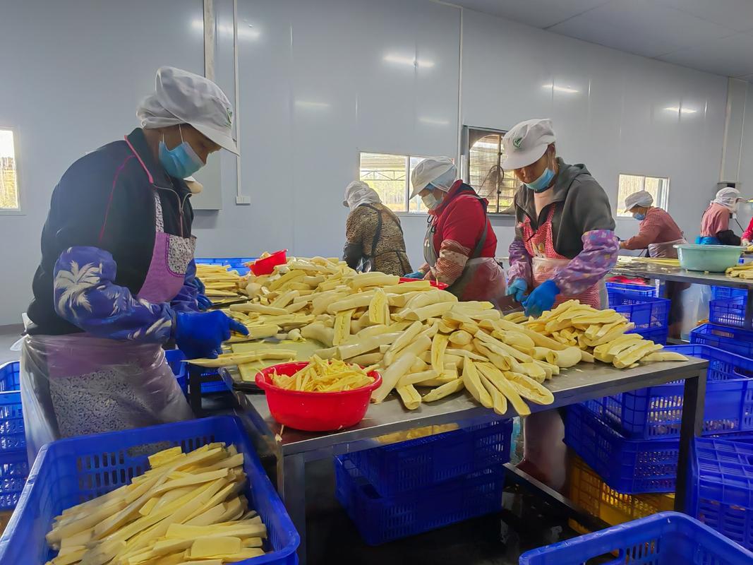 信都镇:农产品加工车间架起联农带农增收路