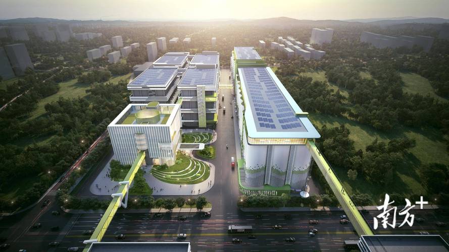 粮储仓容超50万吨!广粮食品产业园开工建设